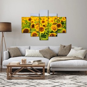 Obraz - Slnečnica (150x105 cm)