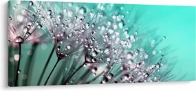 Obraz - orosená rastlina (120x50 cm)