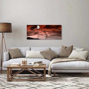 Obraz - Mesiac osvetľujúce noc (120x50 cm)