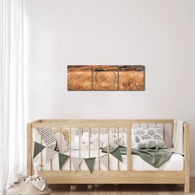Obraz pole (s hodinami) (90x30 cm)
