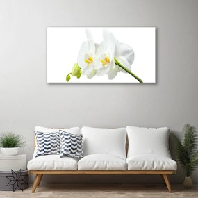 Obraz Canvas Plátky kvet bíla orchidea 120x60 cm