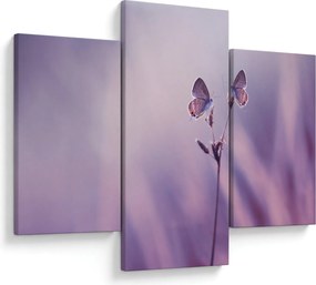 Obraz - Fialové motýliky (90x60 cm)