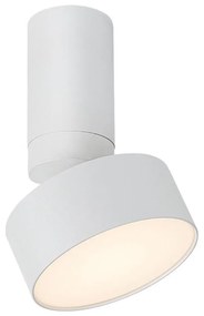 Rabalux 71326 - LED stropné svietidlo OVIDIA LED/10W/230V 3000K biela