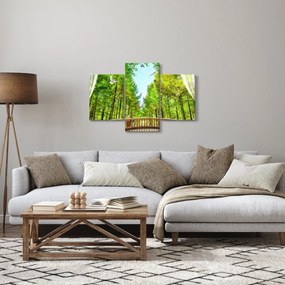 Obraz - Výhľad na les (90x60 cm)