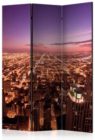 Artgeist Paraván - Chicago Panorama [Room Dividers]