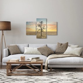 Obraz - Strom na púšti (90x60 cm)