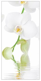 Moderný deliaci paravan Orchidea