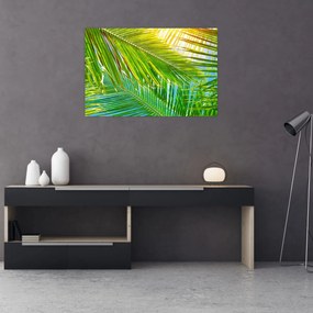 Obraz - Palmové listy (90x60 cm)