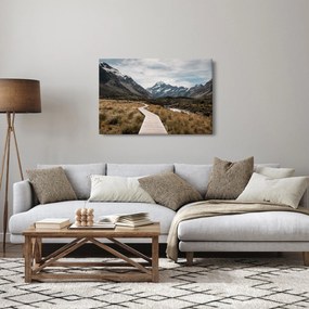 Obraz - Chodník v údolí hory Mt. Cook (90x60 cm)