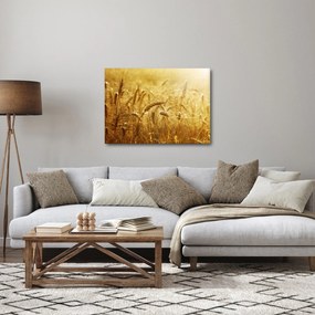 Obraz - Klasy obilia (70x50 cm)