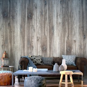 Artgeist Tapeta - Stylish Wood Veľkosť: 50x1000