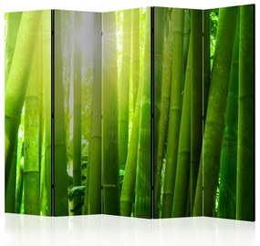 Artgeist Paraván - Sun and bamboo [Room Dividers]