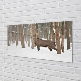 Obraz na akrylátovom skle Jeleň zimné les 140x70 cm