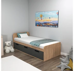 Jednolôžková posteľ 90 cm Pelavi 1 (borovica atlantická + antracit) (s roštom). Akcia -19%. Vlastná spoľahlivá doprava až k Vám domov. 1094838