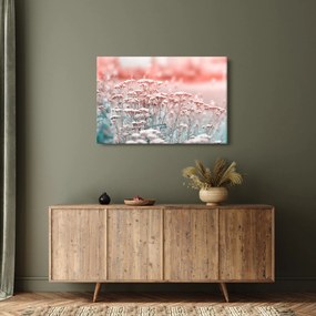 Obraz - Lúčne kvety (90x60 cm)