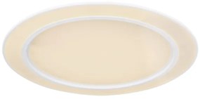 Globo 48549-60 - LED RGB Stmievateľné svietidlo DAHLA LED/60W/230V + LED/26W + DO