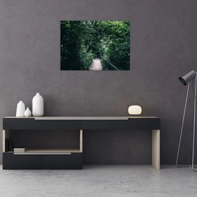 Obraz - Cesta lesom (70x50 cm)