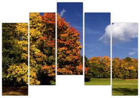 Jesenné stromy - obraz do bytu