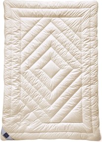 XXXLutz CELOROČNÁ PRIKRÝVKA, 135/200 cm, kašmír Billerbeck - Prikrývky & vankúše - 003279091101