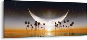 Obraz - Mesiac nad palmami (120x50 cm)
