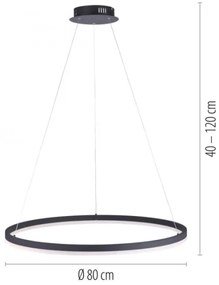 Paul Neuhaus 2383-13 - LED Stmievateľný luster na lanku TITUS LED/50W/230V