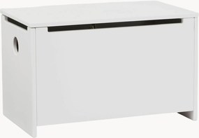 Detská úložná škatuľa Star