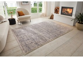 Sivý koberec 240x340 cm Terrain – Hanse Home