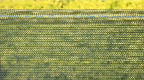 Bradas Tieniaca sieť zelená 1x50m 55% tieňa