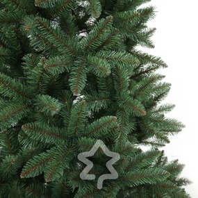 Smrek Kanadský 210 cm