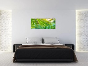Obraz - Palmové listy (120x50 cm)