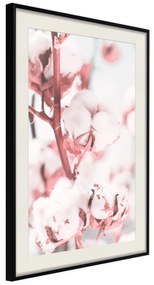 Artgeist Plagát - Blooming Cotton [Poster] Veľkosť: 20x30, Verzia: Čierny rám s passe-partout