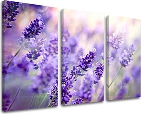 Obraz na stenu 3 dielny KVETY KV070E30 - 60x40 cm