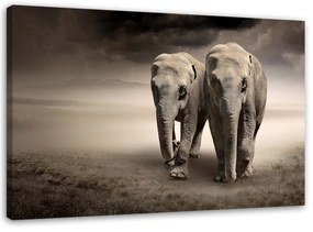 Obraz na plátně Afrika Sloni - 100x70 cm