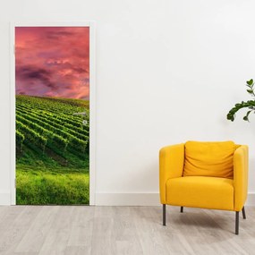 Fototapeta na dvere - Vinohrad s farebným nebom (95x205cm)