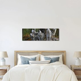 Obraz - Vlci na skale (s hodinami) (90x30 cm)