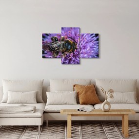 Obraz včely na kvetine (90x60 cm)