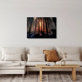Sklenený obraz temného lesa (70x50 cm)