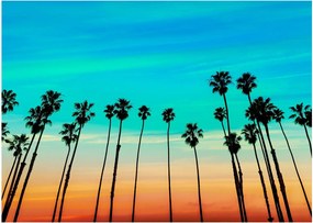 Sklenený obraz - Kalifornia (70x50 cm)