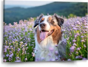 Sablio Obraz na plátne z vlastnej fotografie: 40x30 cm