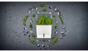 Cole&Mason - Nádoba na uchovanie rezaných byliniek