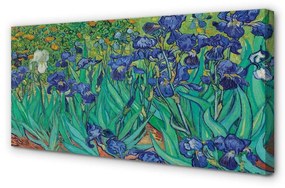 Obraz canvas Umenie kvety dúhovky 140x70 cm