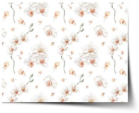 Sablio Plagát Biela orchidea - 90x60 cm