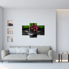 Obraz - Lávové kamene (90x60 cm)