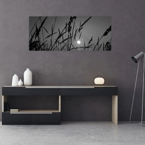 Obraz - Lúka so západom slnka (120x50 cm)