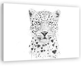 Gario Obraz na plátne Čiernobiely leopard - Rykker Rozmery: 60 x 40 cm
