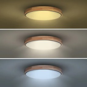 Solight WO8006 - LED Stm. svietidlo IRON OAK LED/60W/230V 3000-6500K pr. 51 cm+DO