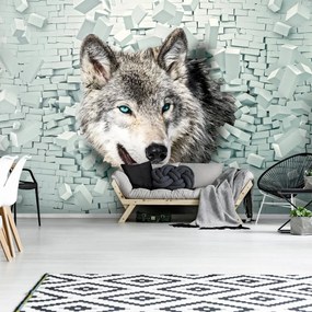 Fototapeta - Vlk vychádza z 3D steny (254x184 cm)