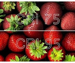 Lucide 09929/05/31 - LED Stmievateľné bodové svietidlo NIGEL 1xGU10/5W/230V biela