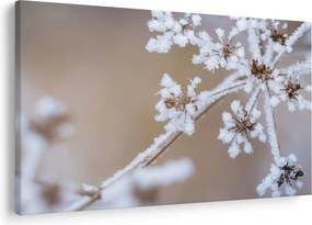 Obraz - Mráz (90x60 cm)