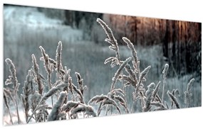Obraz - Zamrznutá lúka (120x50 cm)